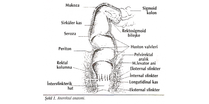 Sık rastlanan Anorektal bölge hastalıkları