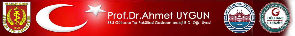 Prof. Dr. Ahmet UYGUN